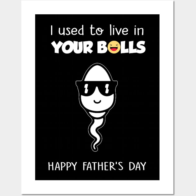 I Used To Live In Your Balls Funny Son Happy Father's Day Wall Art by PlumleelaurineArt